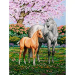 Broderie Diamant Poulain et Cheval