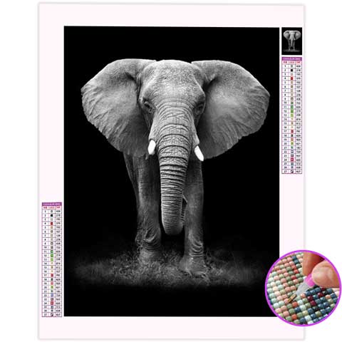 Broderie Diamant Éléphant Noir et Blanc | My Diamond Painting