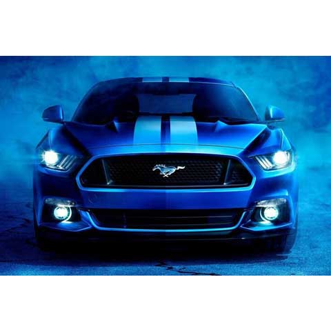 Diamond Painting Mustang | My Diamond Painting